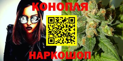 стаф Аша